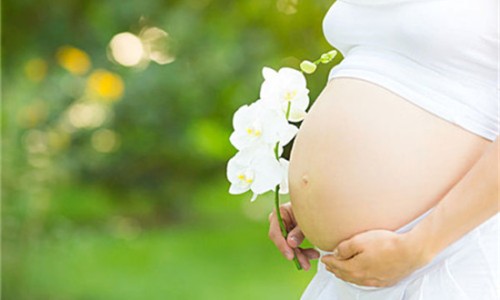 孕妇梦见很多玉米地-【孕妇梦见很多玉米棒】孕妇梦见很多玉米生男生女 - 孕妇梦见很多玉米网