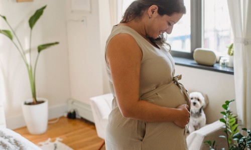 孕妇梦见很多玉米地-【孕妇梦见很多玉米棒】孕妇梦见很多玉米生男生女 - 孕妇梦见很多玉米网