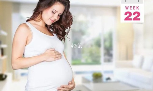 孕妇梦见很多玉米地-【孕妇梦见很多玉米棒】孕妇梦见很多玉米生男生女 - 孕妇梦见很多玉米网